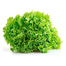 Lechuga Crespa